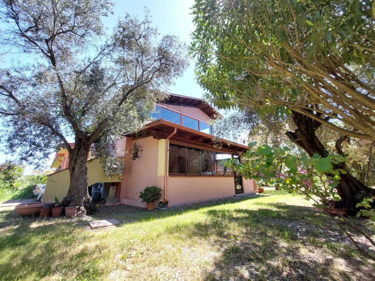 Apartamento Casa L' Antico Ulivo Iglesias Exterior foto
